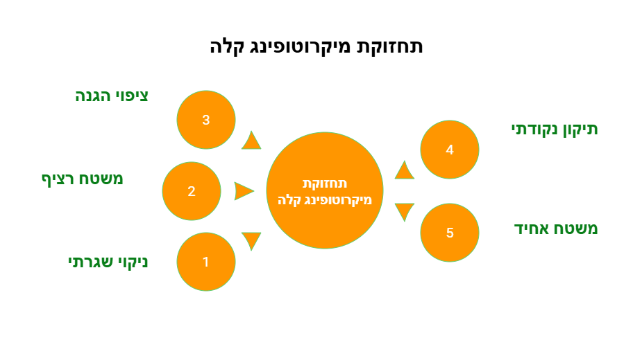מיקרוטופינג